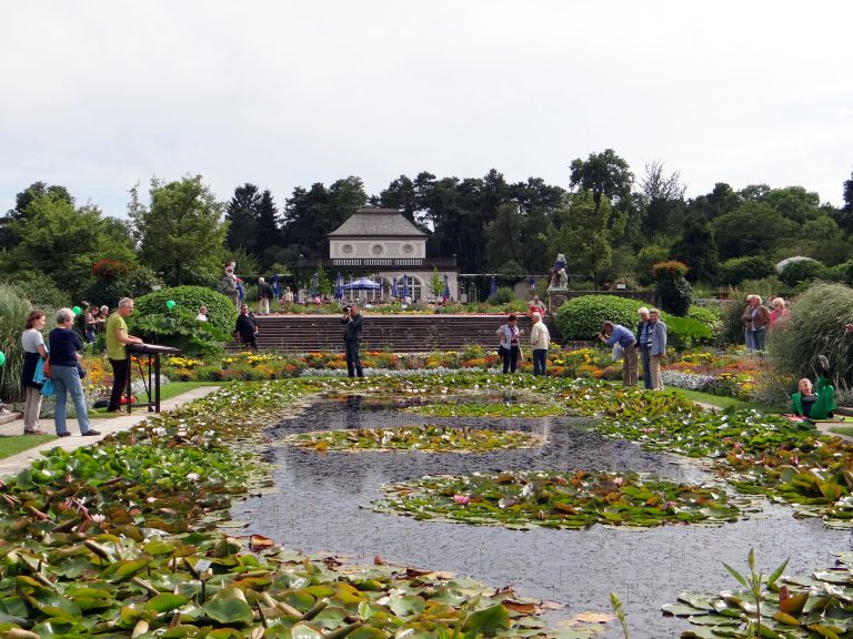 GartenImpressionen Gesellschaft der Freunde des