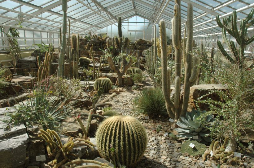 GartenImpressionen Gesellschaft der Freunde des