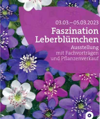 Faszination Leberblümchen 3.-5. März 2023   -Ausstellung mit Verkauf-